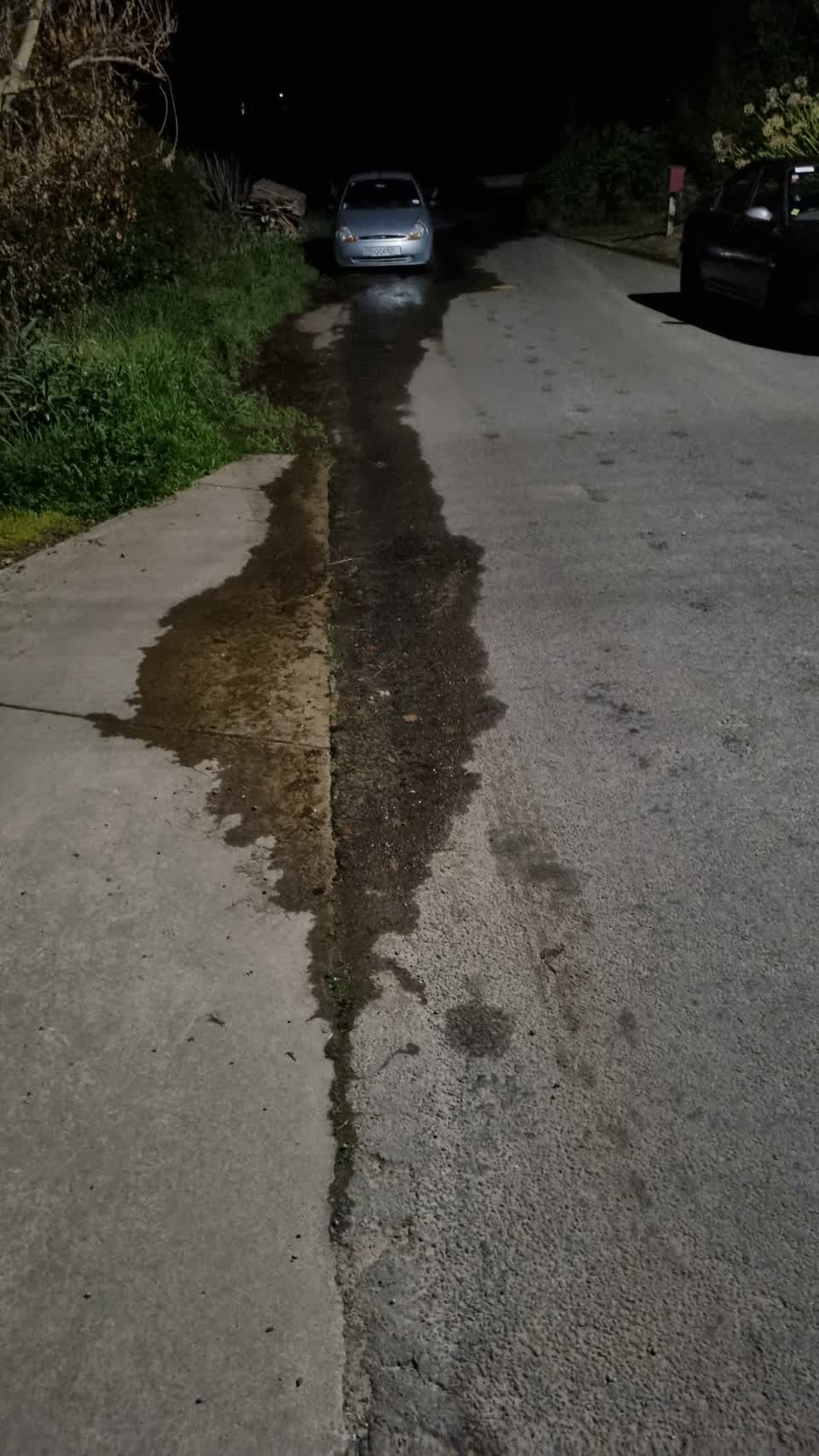 The photograph attached to this water leak report