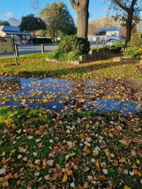 Parks, a report photo