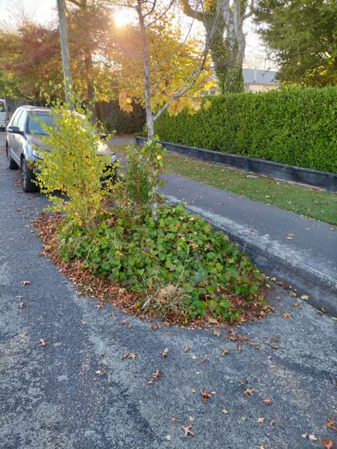 Roading/Streets, a report photo