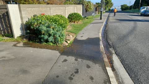 Water Leak, a report photo