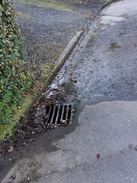 Water Leak, a report photo