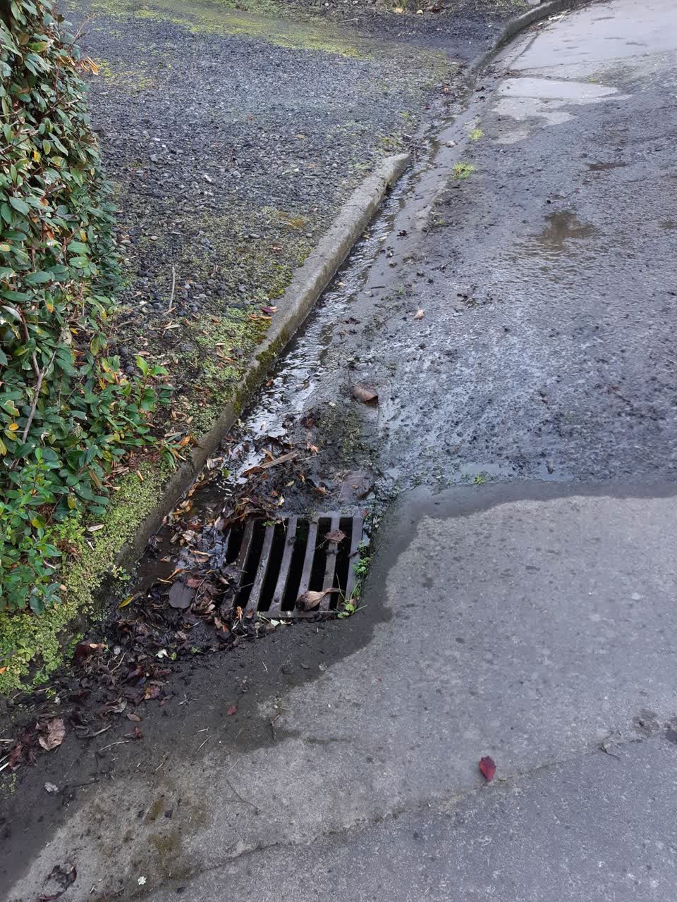 The photograph attached to this water leak report