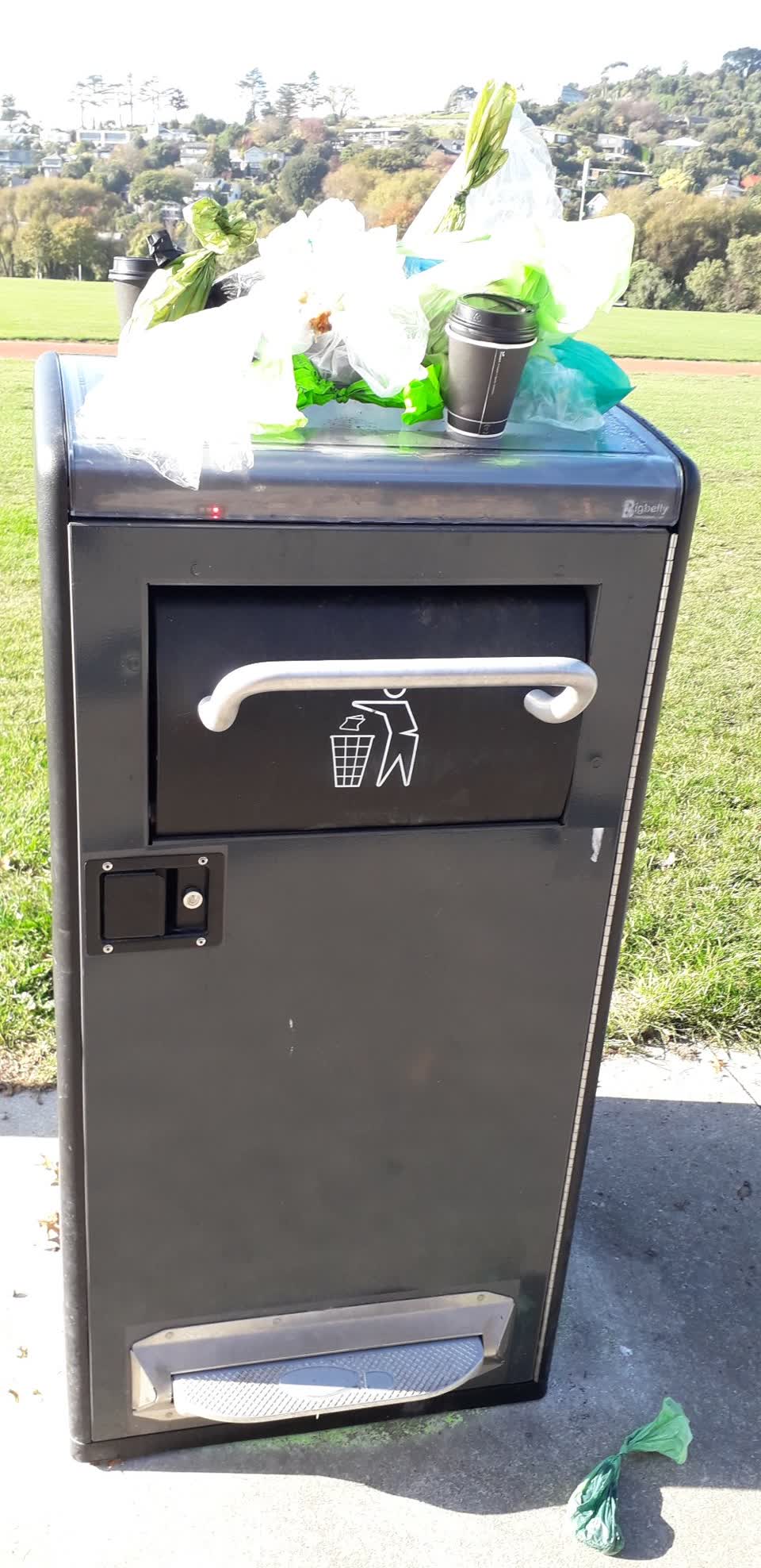 The photograph attached to this parks report