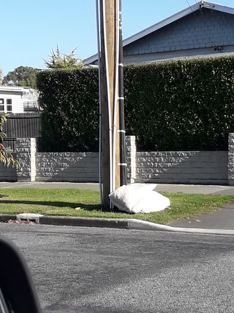 Rubbish/Recycling, a report photo