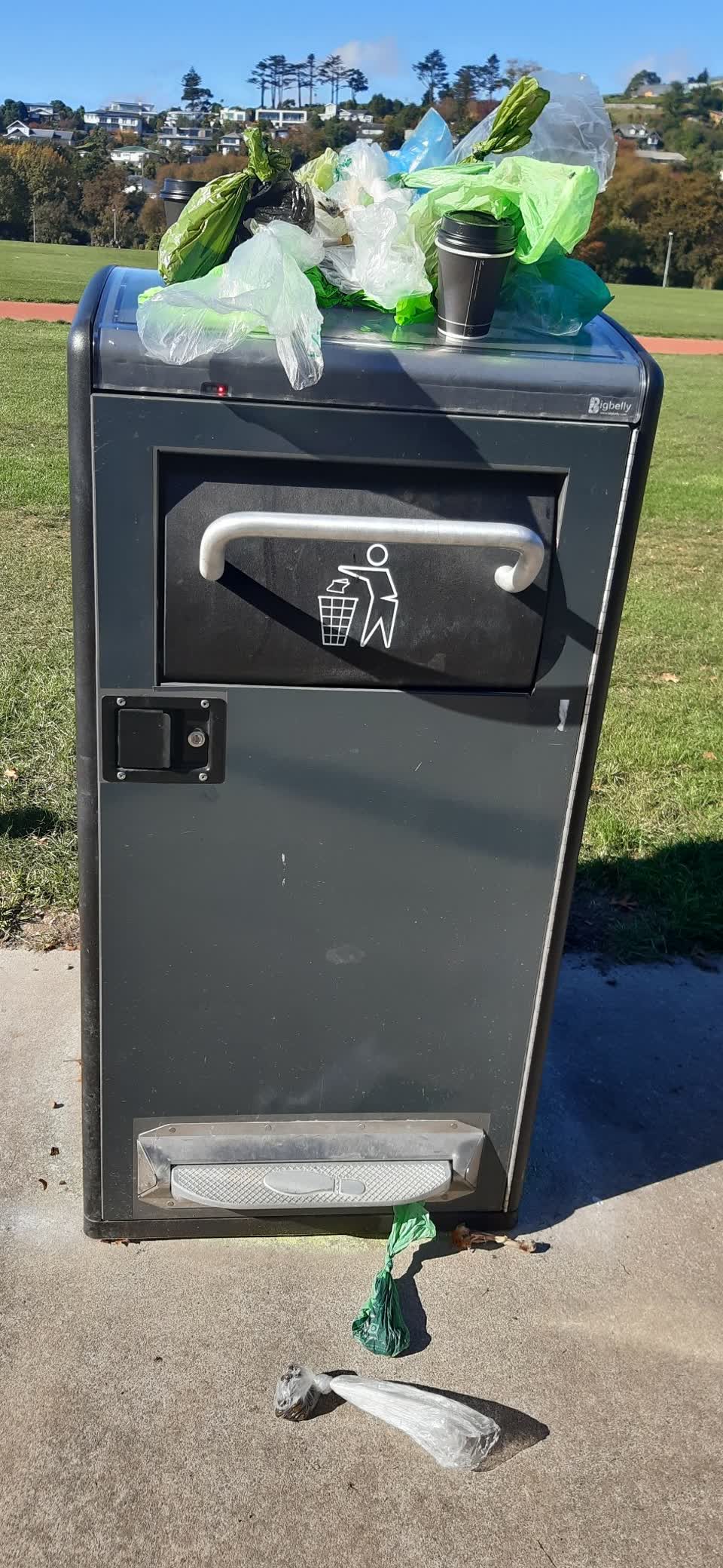 The photograph attached to this parks report