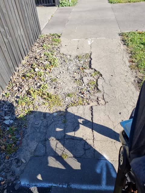 Roading/Streets, a report photo