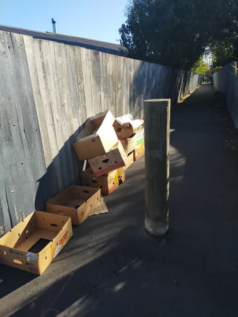 Rubbish/Recycling, a report photo
