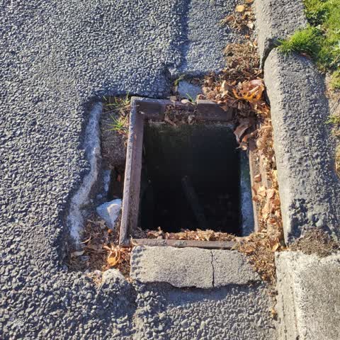 Sewer - General, a report photo