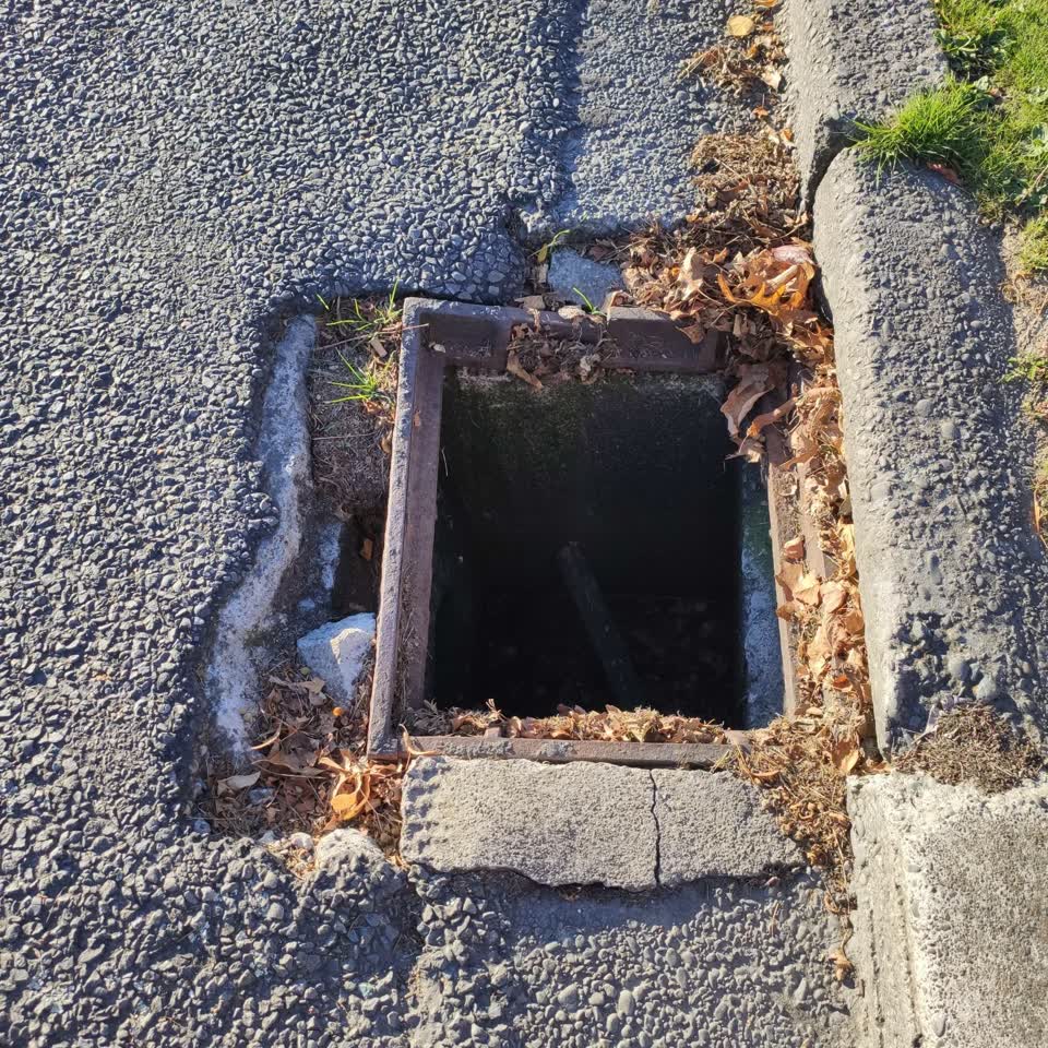 The photograph attached to this sewer - general report