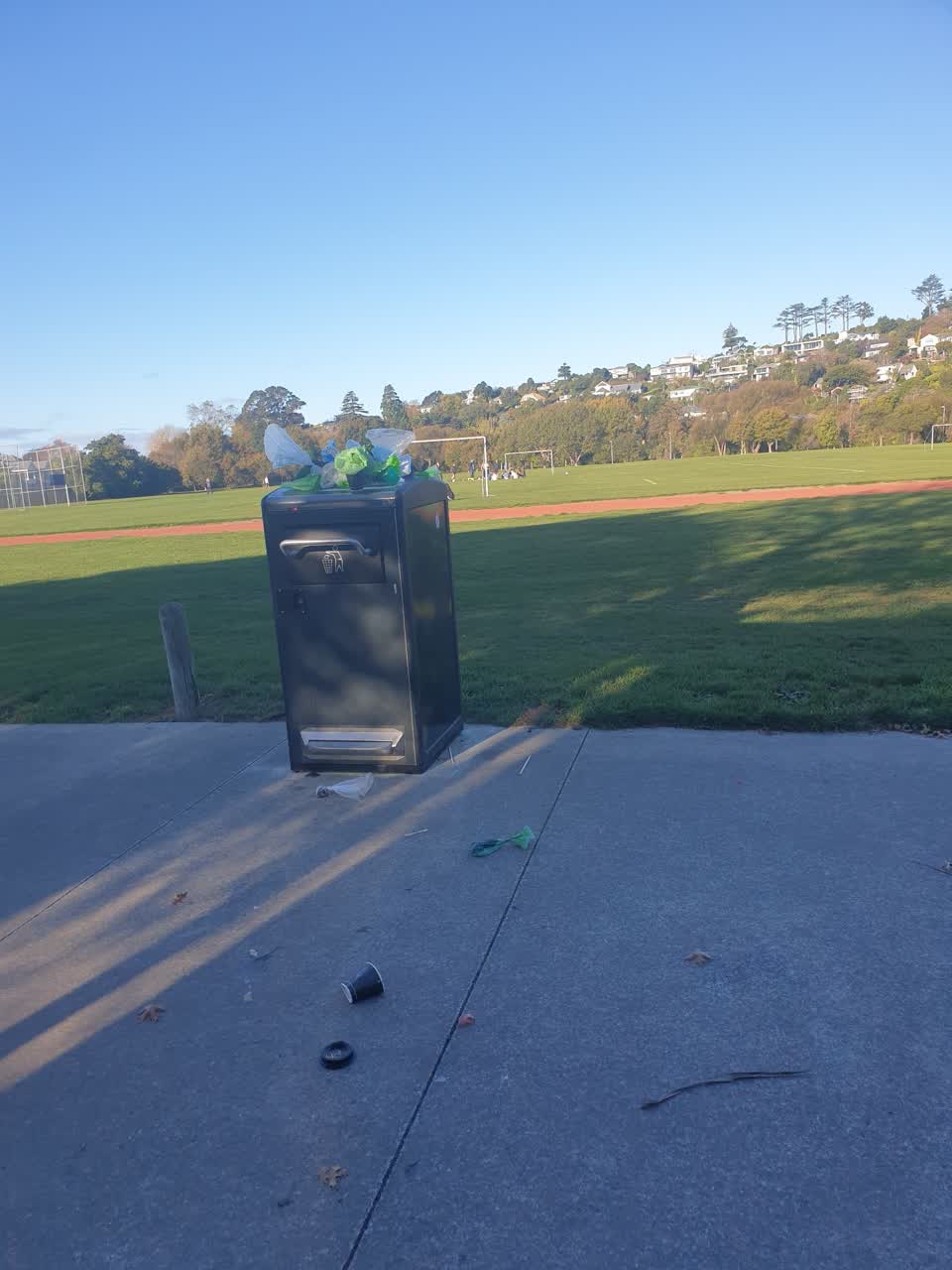 The photograph attached to this rubbish/recycling report