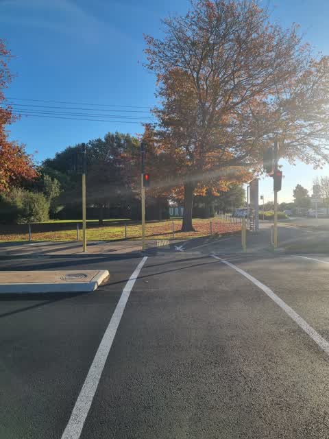 Street Light Outage, a report photo