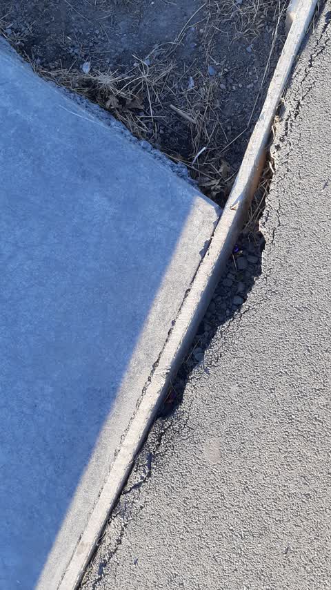 Parks — a report photo