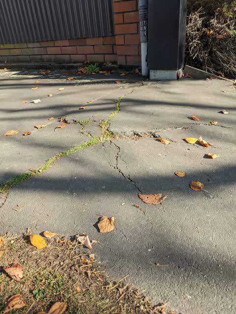 Roading/Streets, a report photo