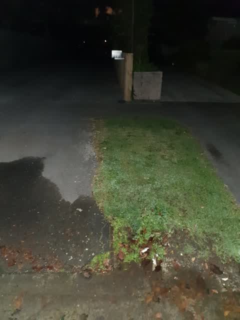 Water Leak, a report photo