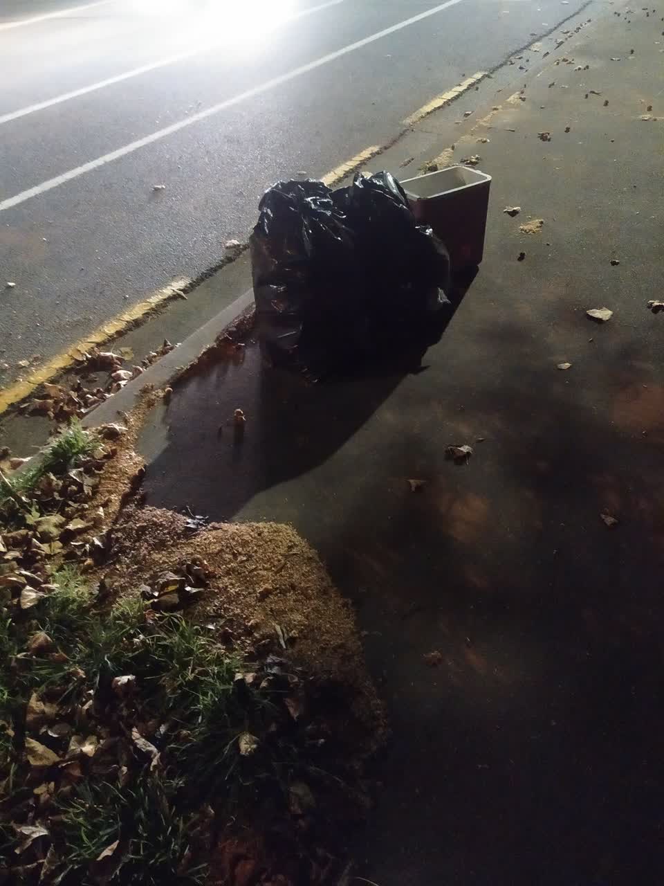 The photograph attached to this rubbish/recycling report