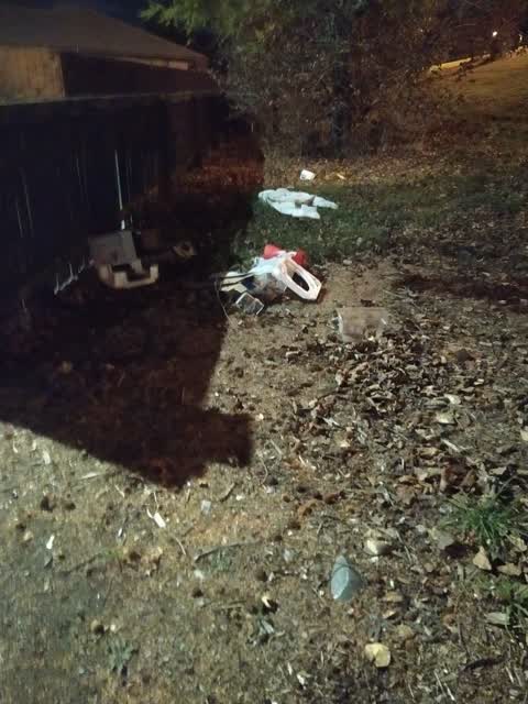 Rubbish/Recycling, a report photo