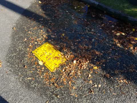 Water Leak, a report photo