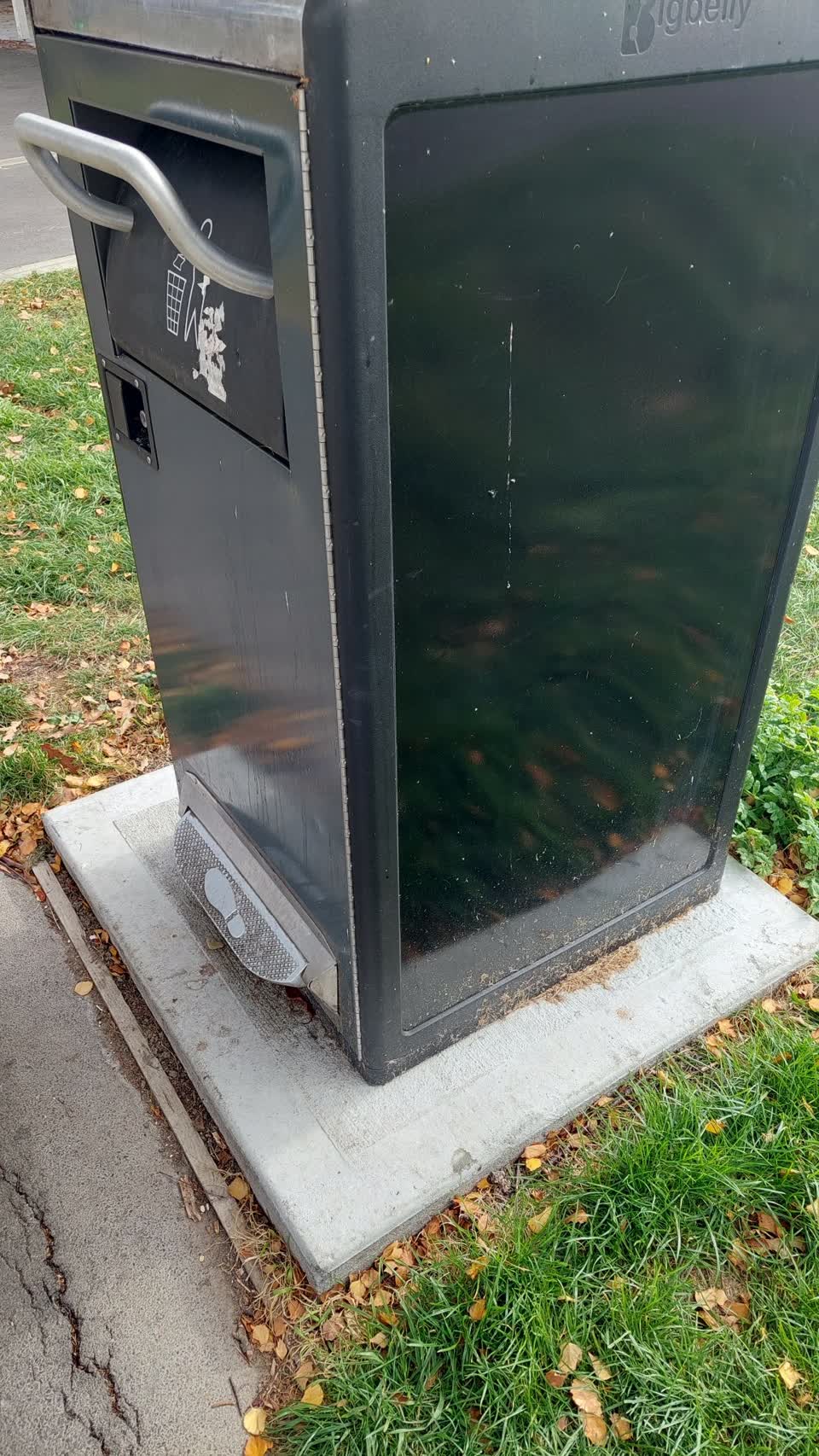 The photograph attached to this rubbish/recycling report