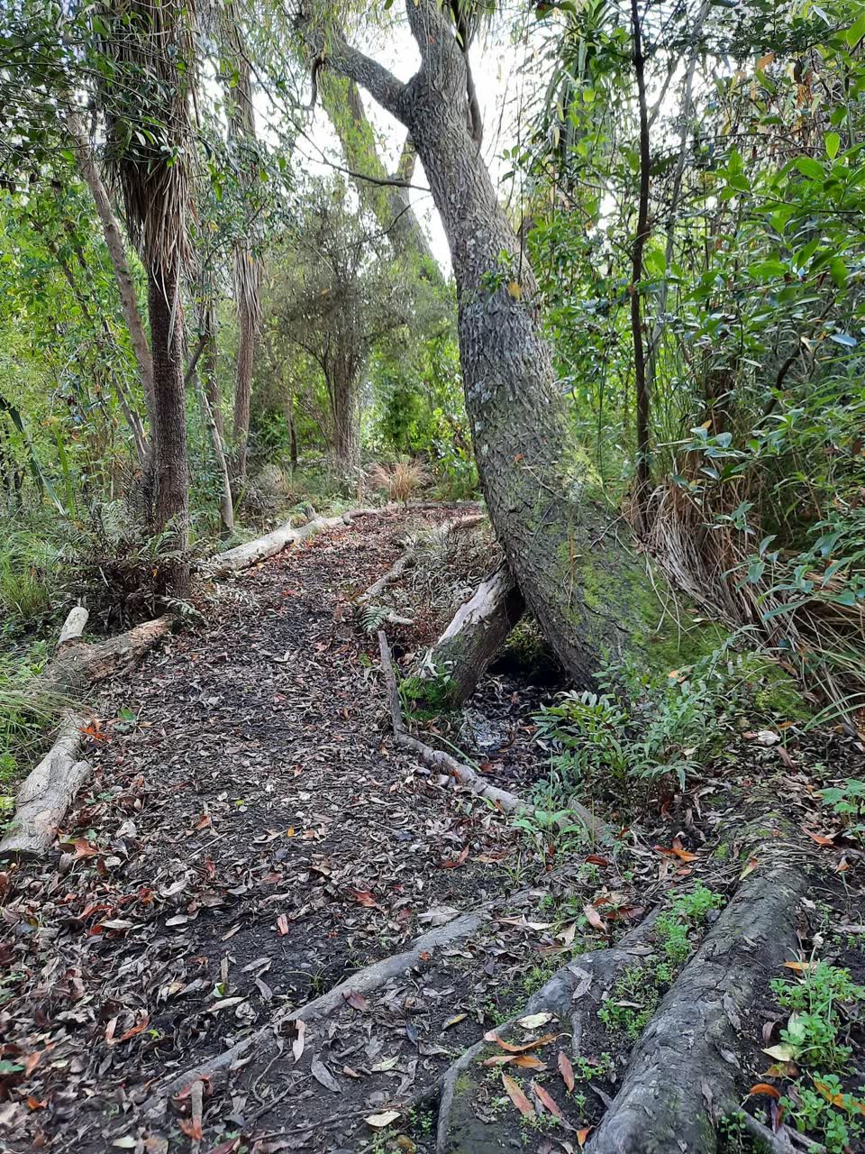 The photograph attached to this parks report