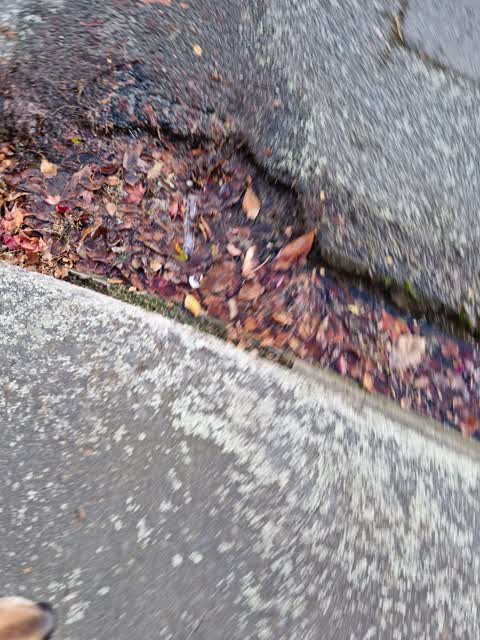 Water Leak, a report photo