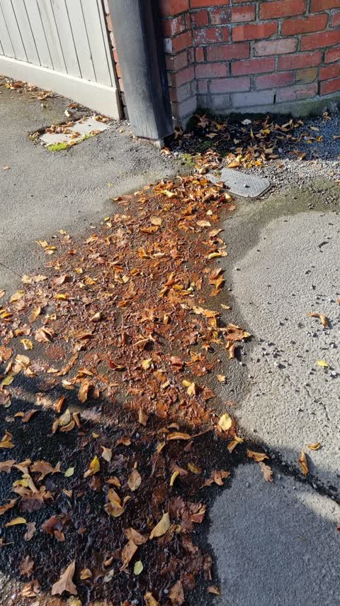 Water Leak, a report photo