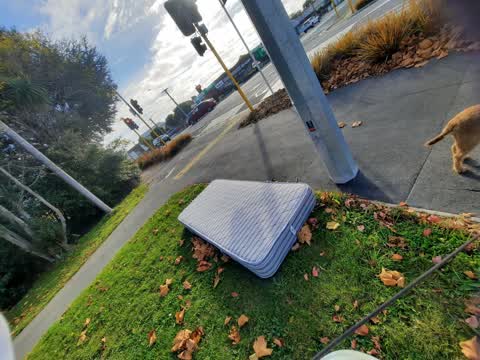Rubbish/Recycling, a report photo