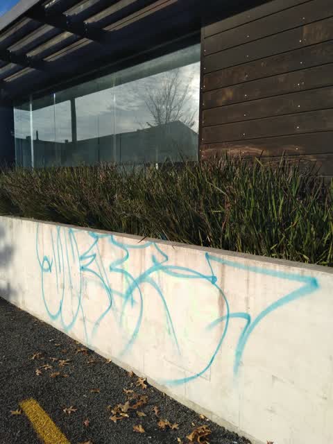 Graffiti, a report photo