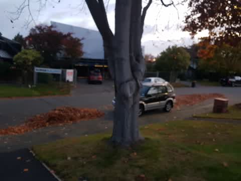 Roading/Streets, a report photo