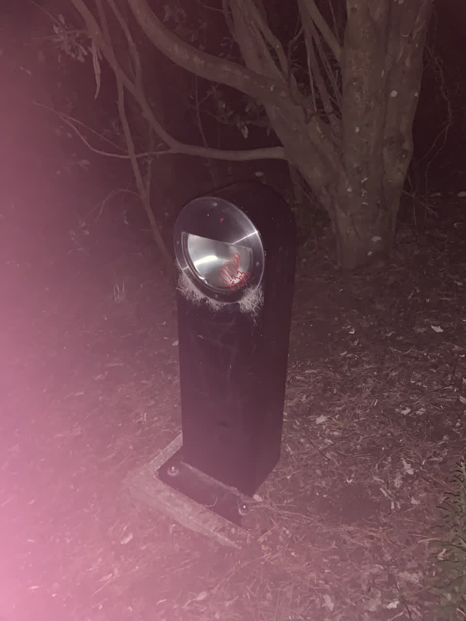 The photograph attached to this street light outage report