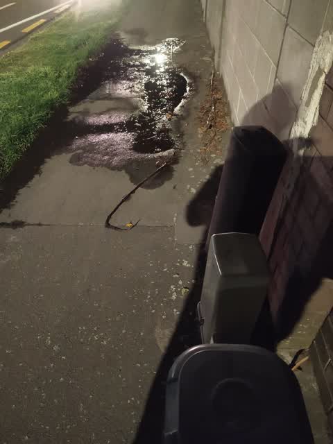 Water Leak — a report photo