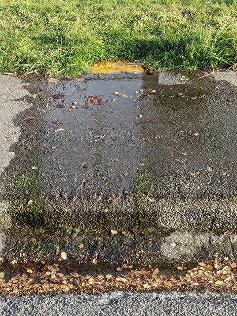 Water Leak, a report photo