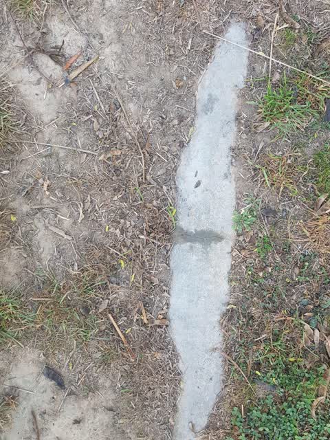 Sewer - Leak / Blockage, a report photo