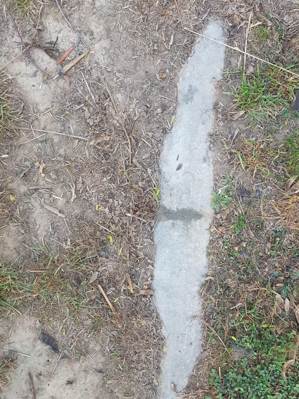 The photograph attached to this sewer - leak / blockage report