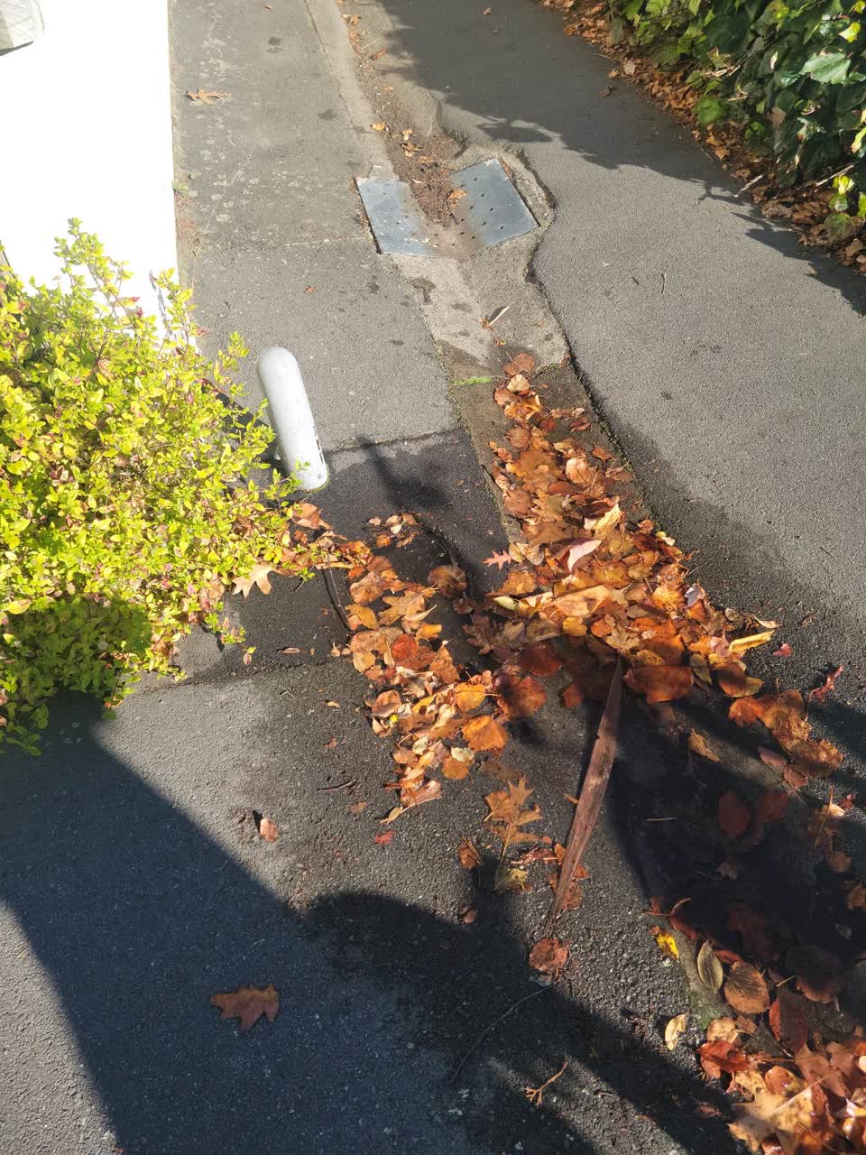 The photograph attached to this water leak report
