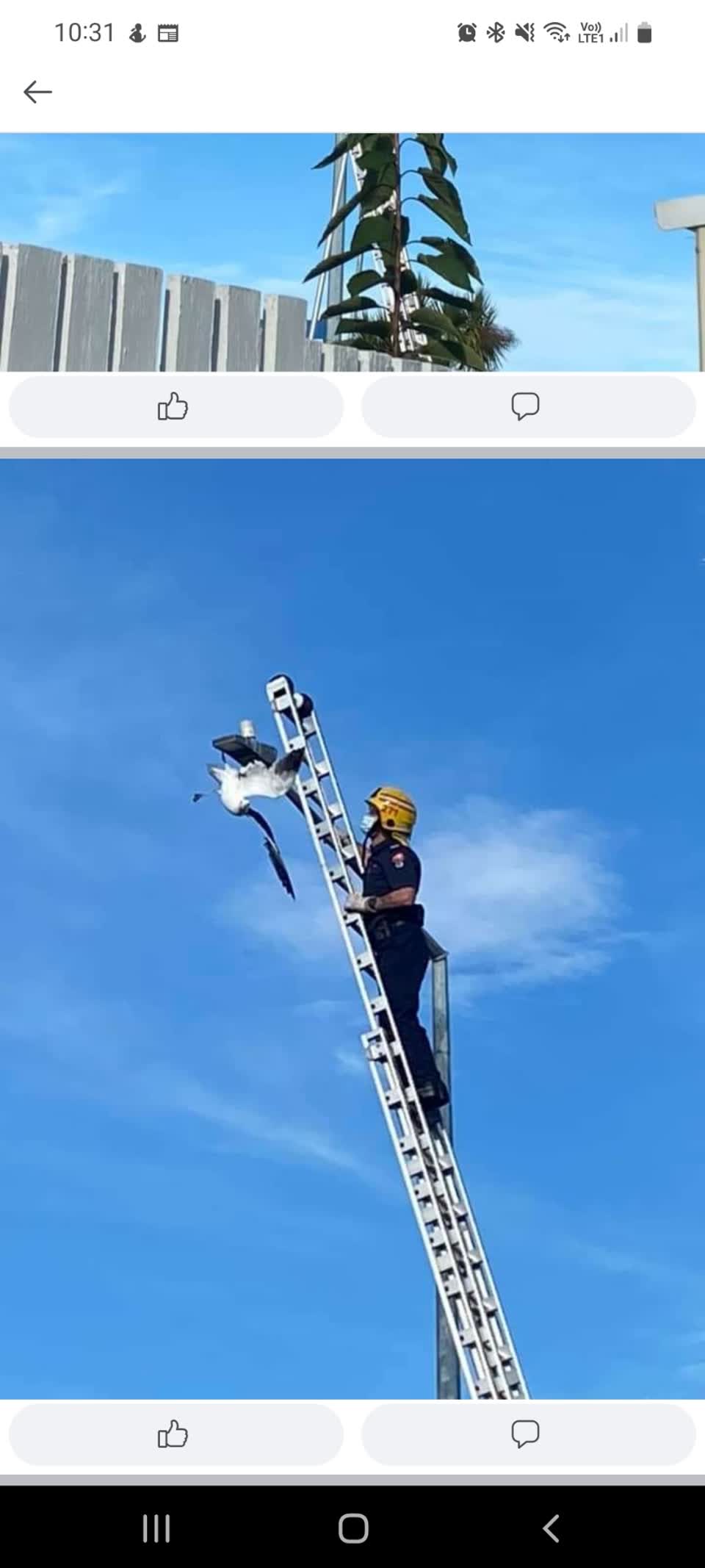 The photograph attached to this street light outage report