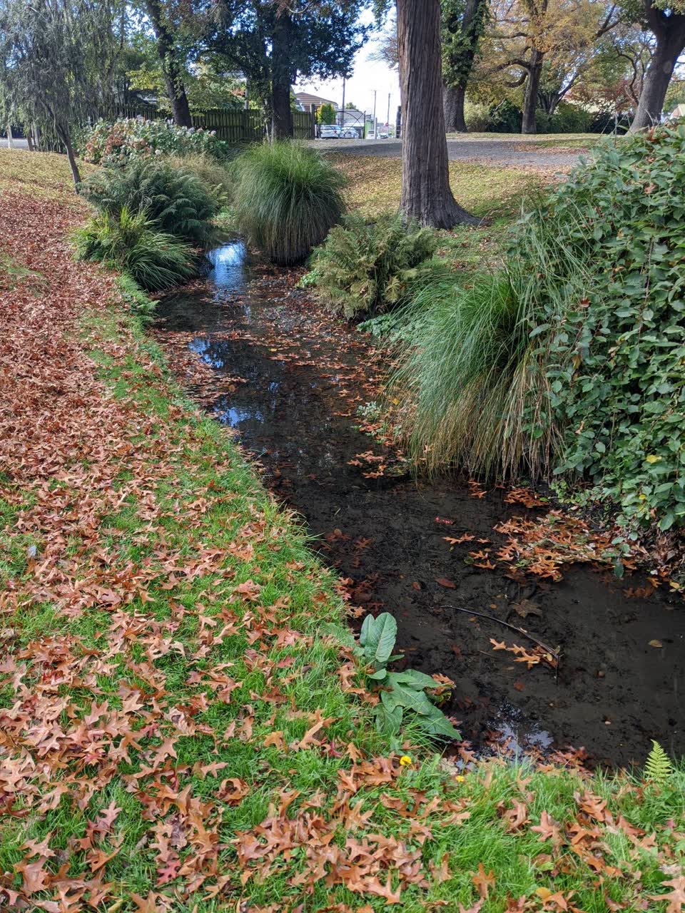 The photograph attached to this parks report