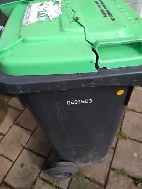 Rubbish/Recycling, a report photo