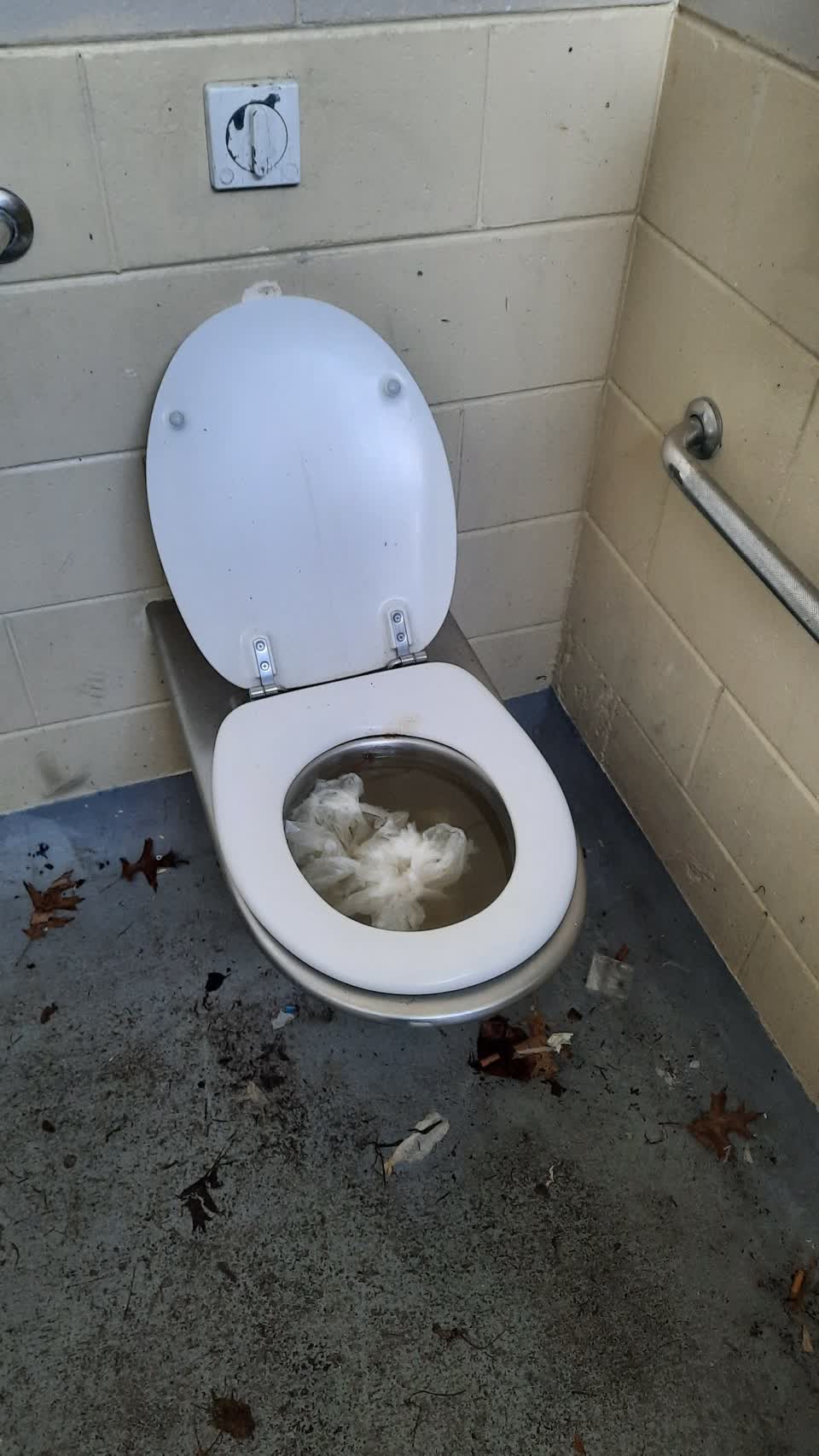 The photograph attached to this parks report