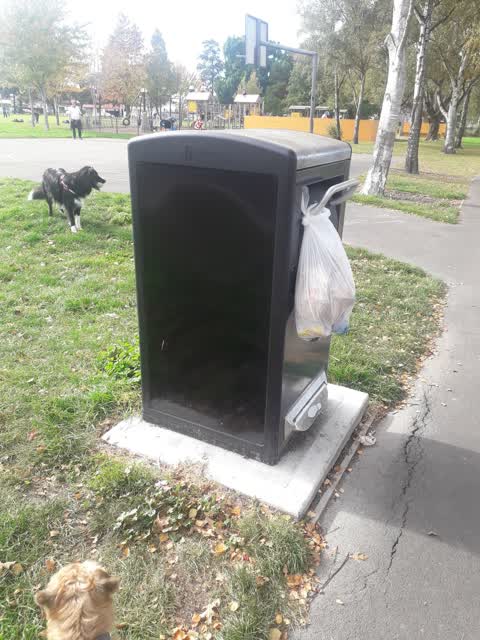 Rubbish/Recycling, a report photo