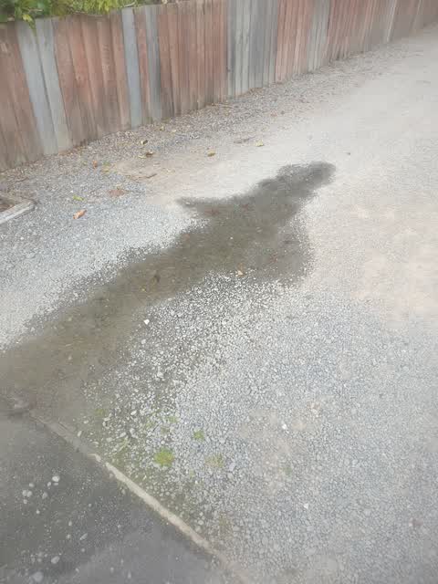 Water Leak, a report photo