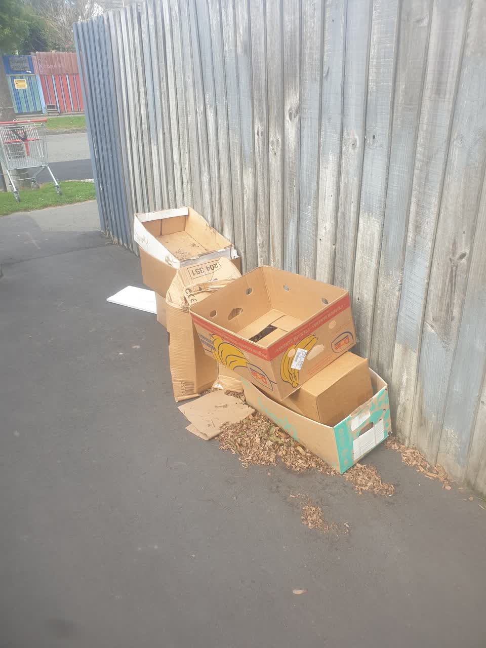 The photograph attached to this rubbish/recycling report