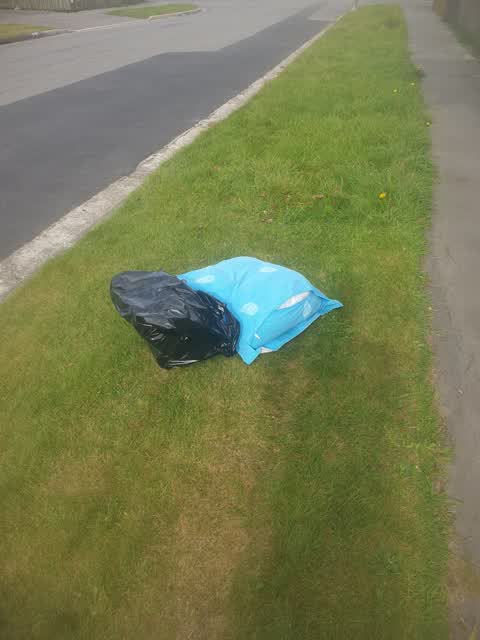 Rubbish/Recycling, a report photo