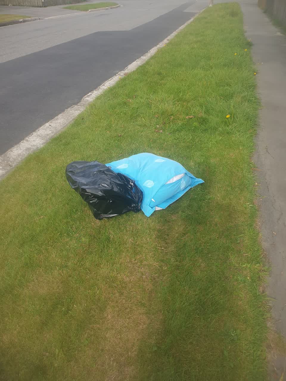 The photograph attached to this rubbish/recycling report
