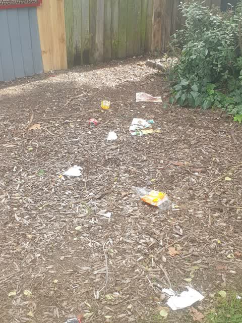 Rubbish/Recycling — a report photo