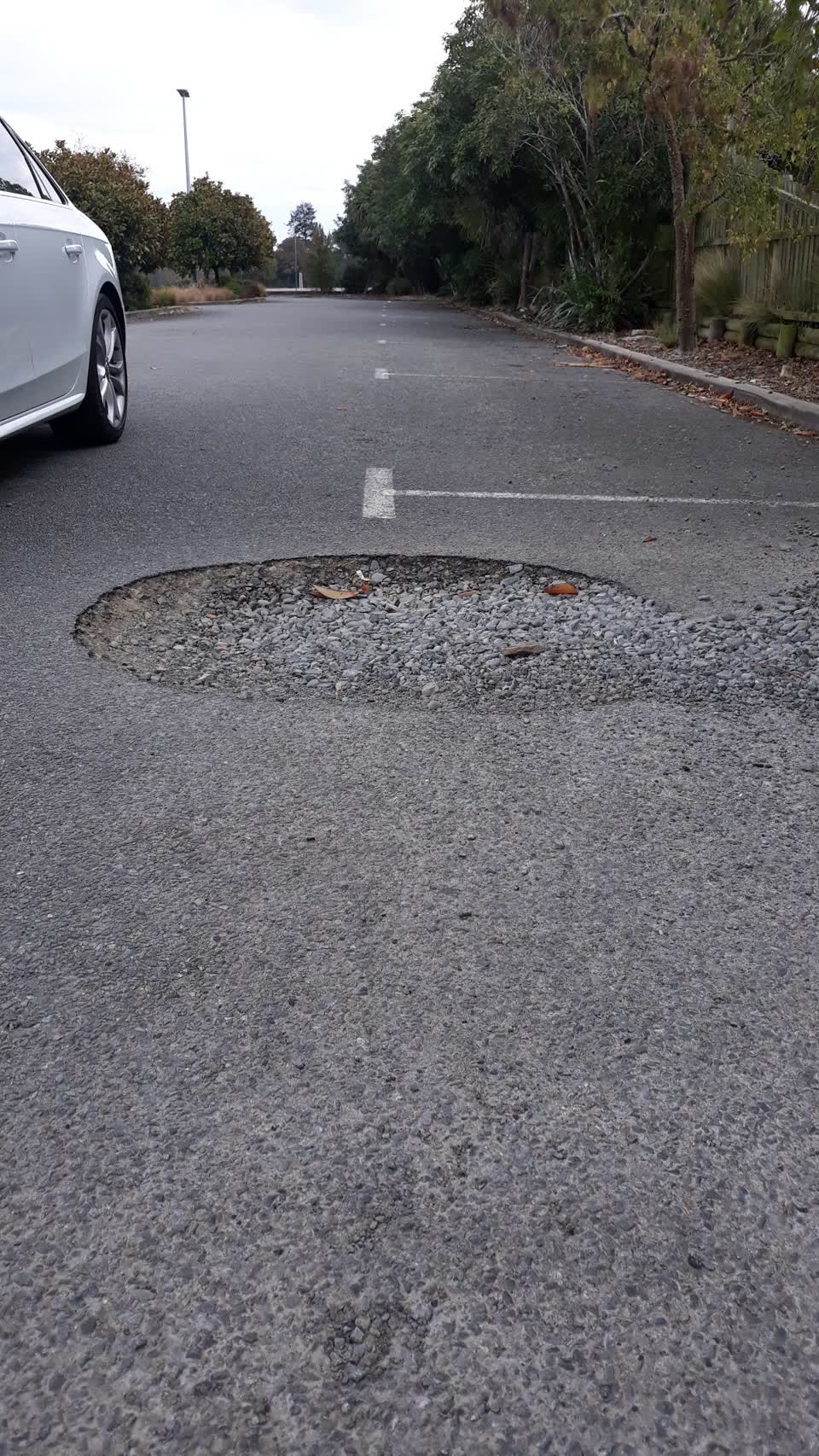 The photograph attached to this parks report