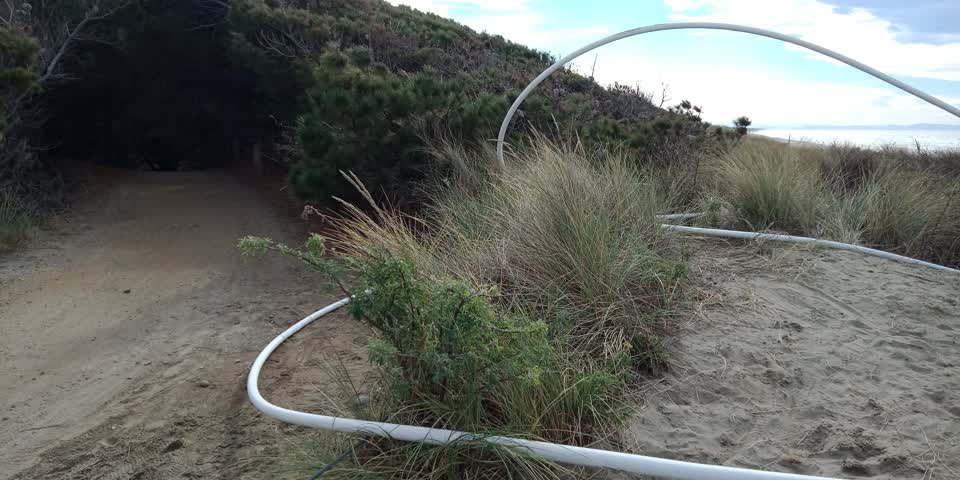 The photograph attached to this parks report