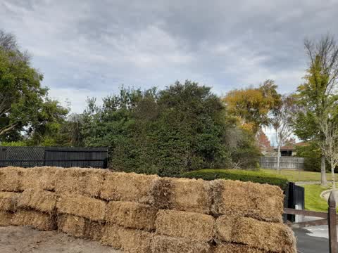 Parks, a report photo