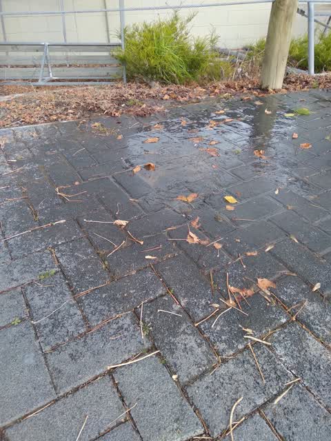 Water Leak, a report photo