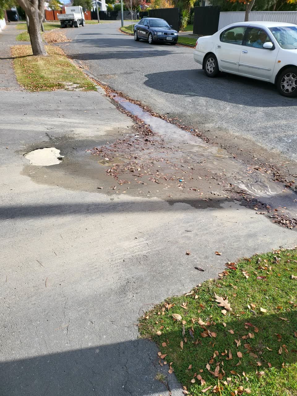 The photograph attached to this water leak report