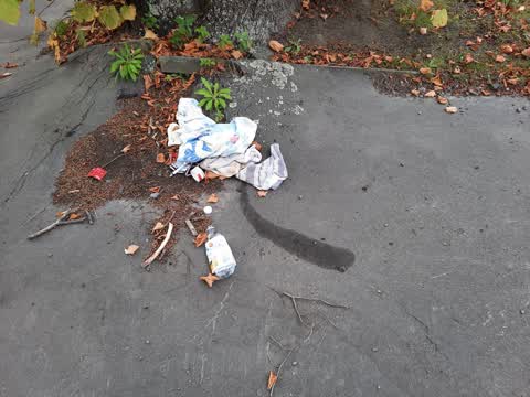 Rubbish/Recycling — a report photo